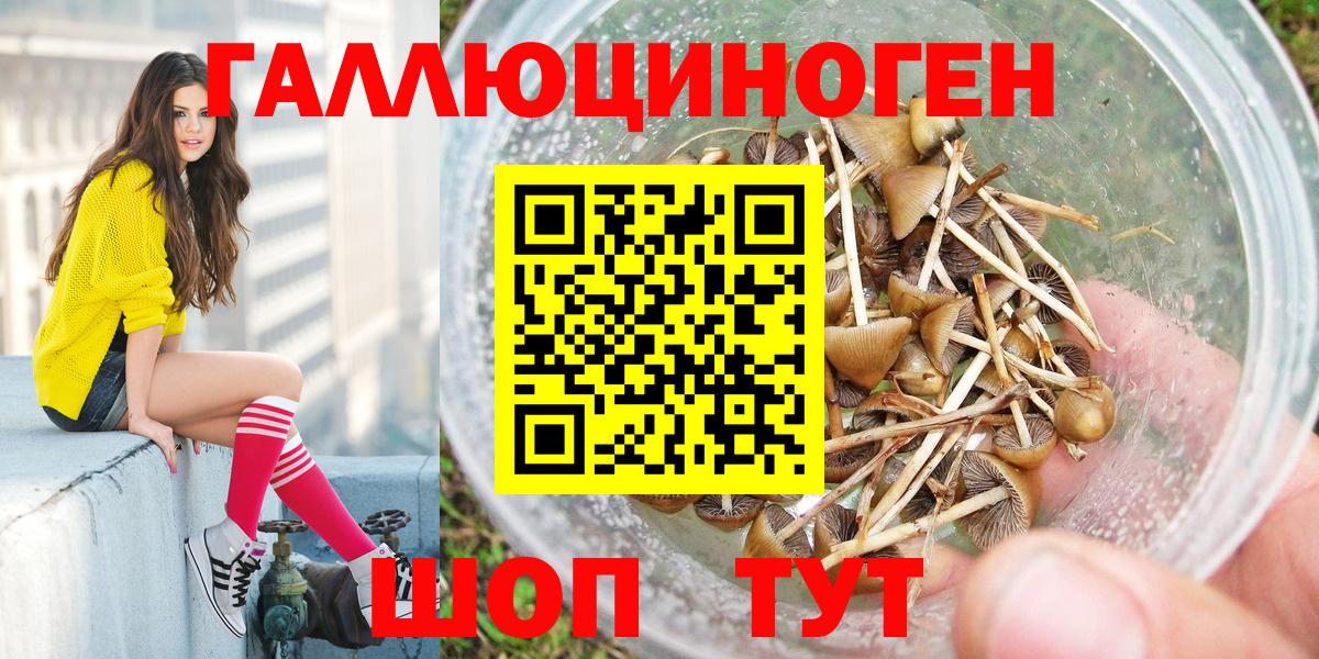 Псилоцибиновые грибы Psilocybe Йошкар-Ола