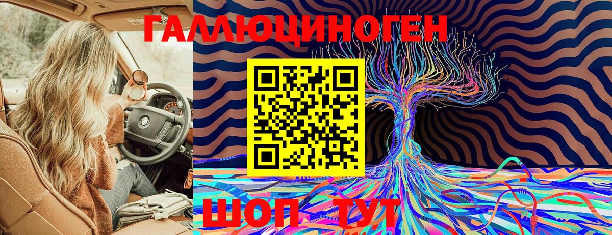 Псилоцибиновые грибы Cubensis  Псилоцибиновые грибы Psilocybine cubensis  Йошкар-Ола 