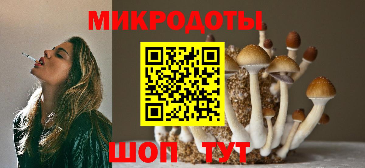Йошкар-Ола  что такое   Вход с VPN  Псилоцибиновые грибы мицелий 